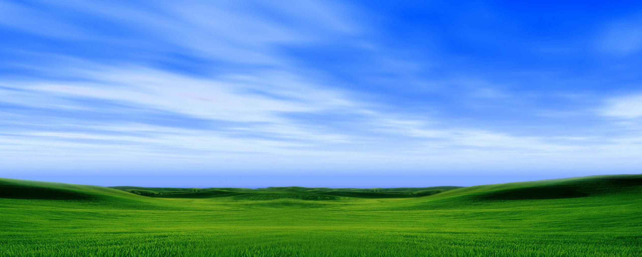 icor_dual_monitor_005.jpg
